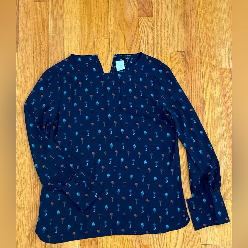 Ann Taylor L/S blouse